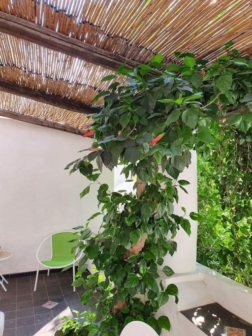 Stromboli Vacanze Εξωτερικό φωτογραφία