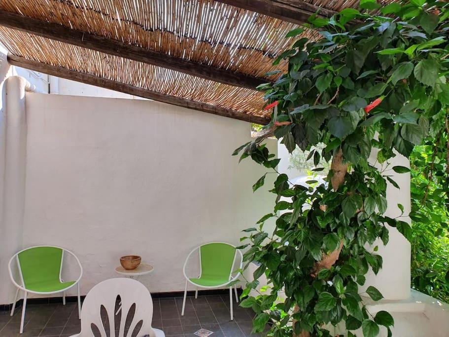 Stromboli Vacanze Εξωτερικό φωτογραφία