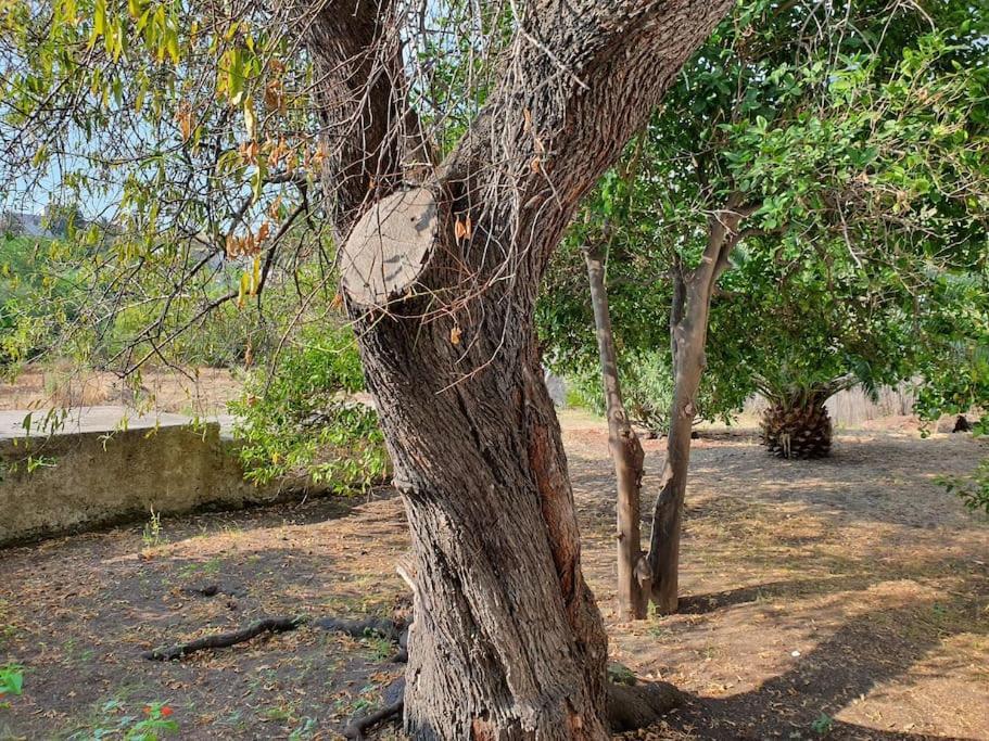 Stromboli Vacanze Εξωτερικό φωτογραφία