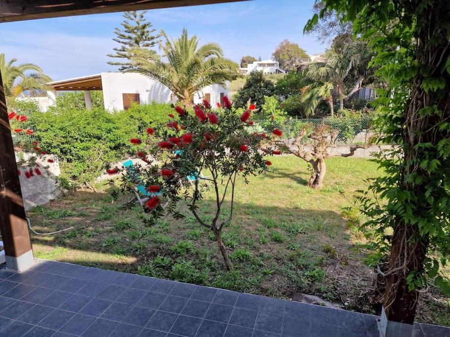 Stromboli Vacanze Εξωτερικό φωτογραφία